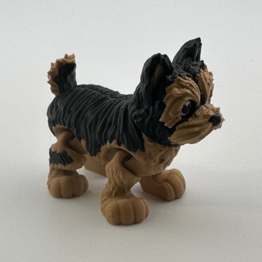 Yorkie Dog (perky ears)