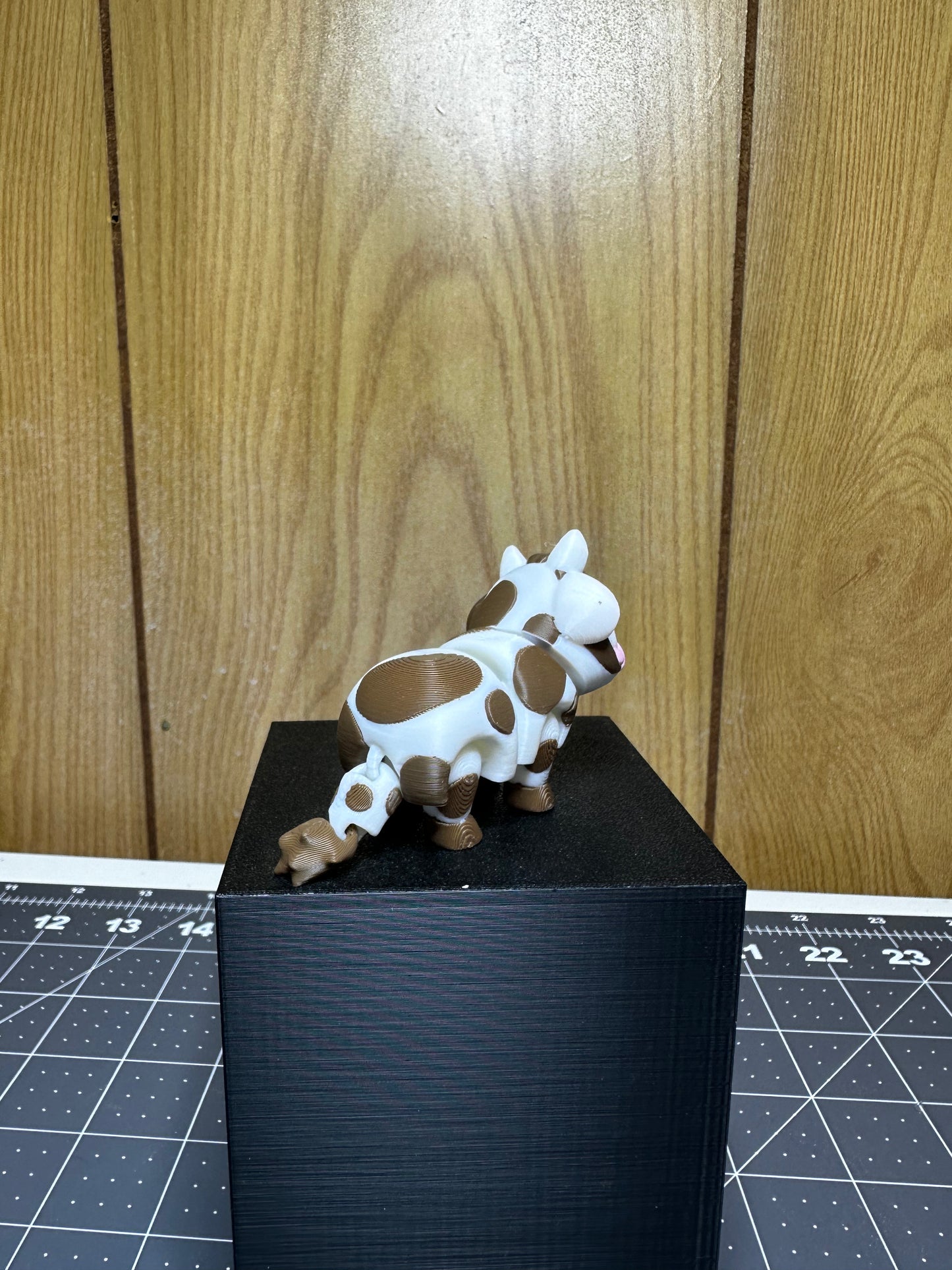 Holstein Cow