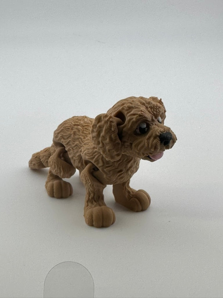 Doodle Dog
