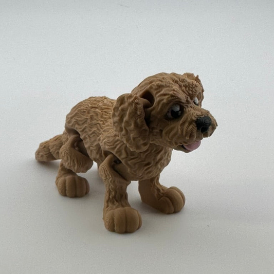 Doodle Dog