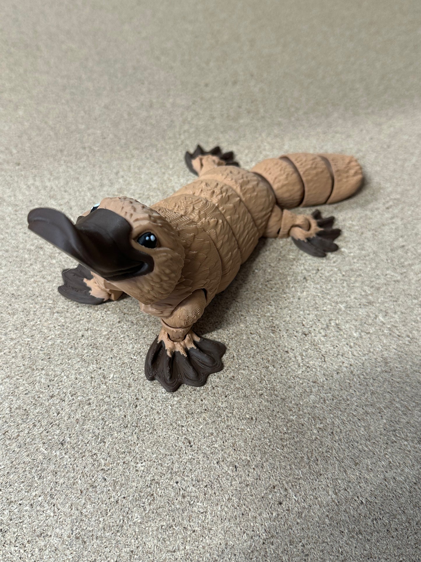 Large Platypus