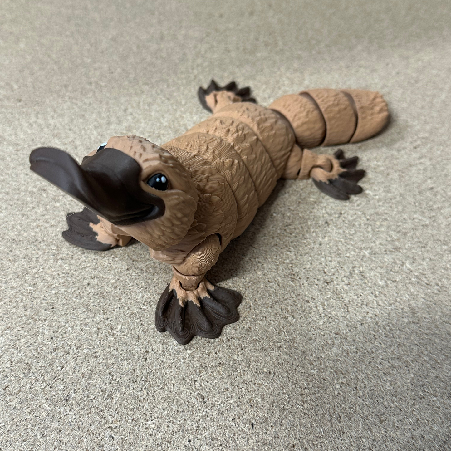 Large Platypus