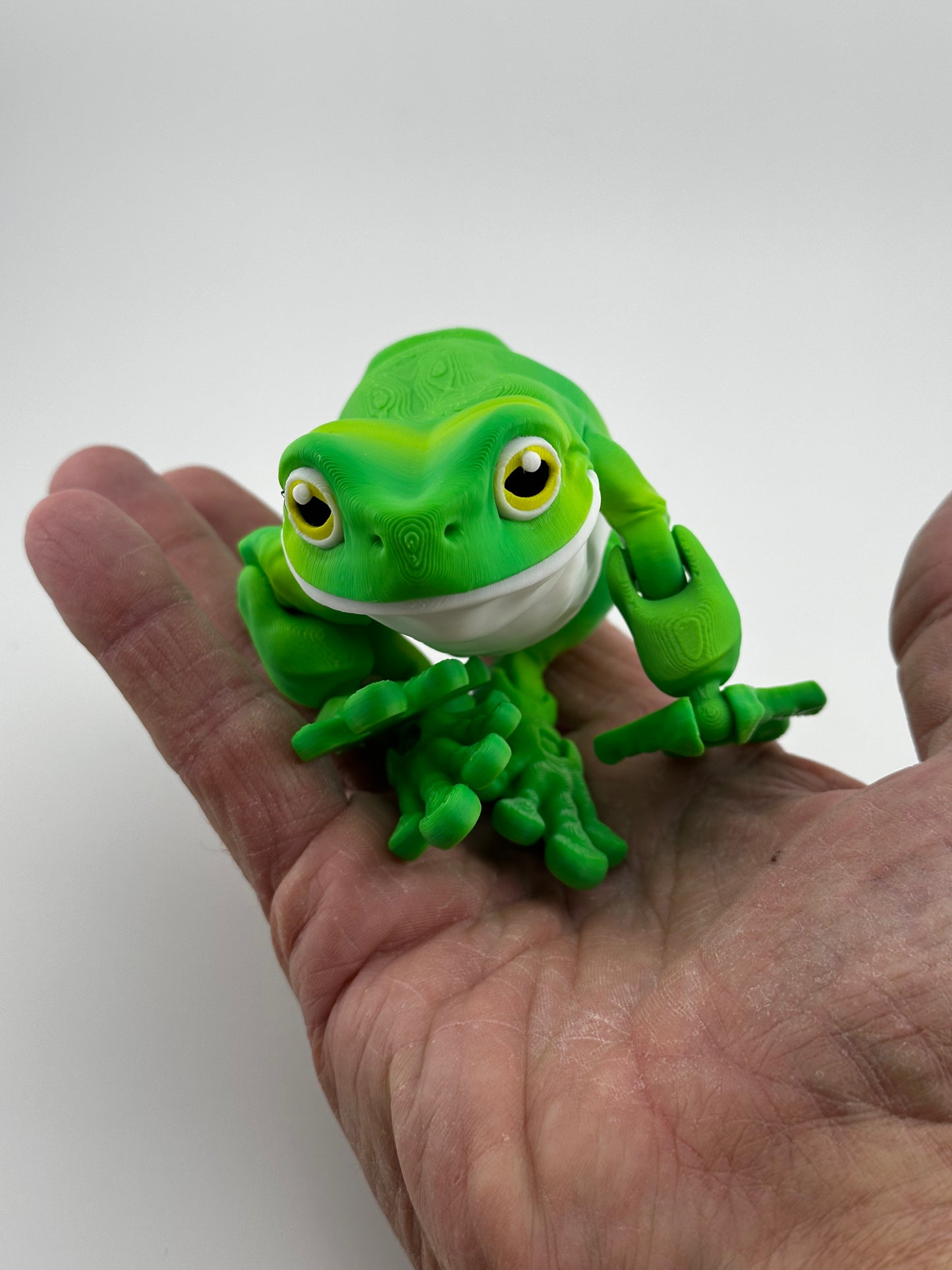 Tree Frog