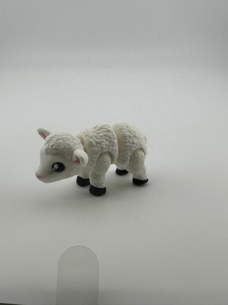 Lamb