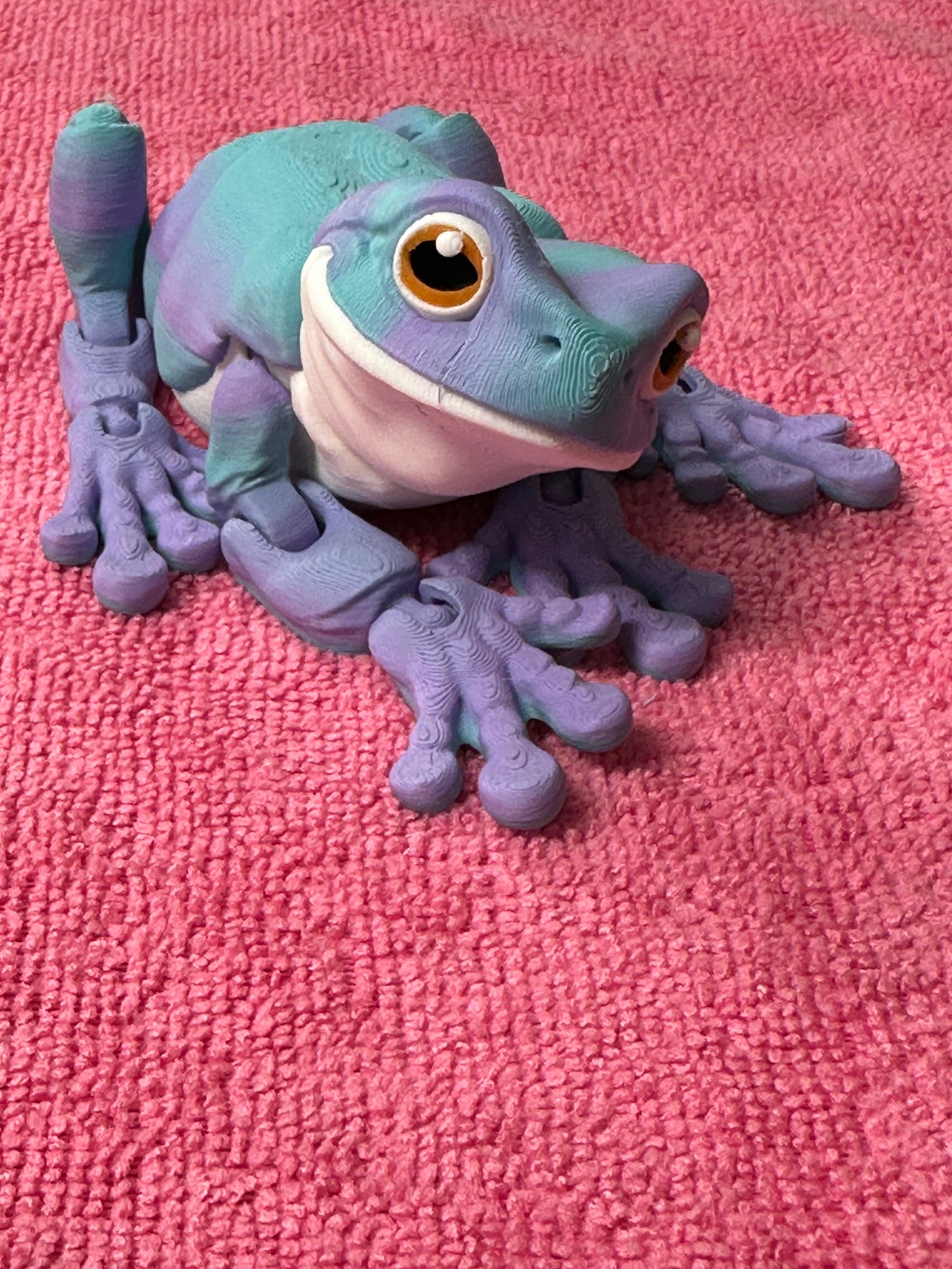 Tree Frog