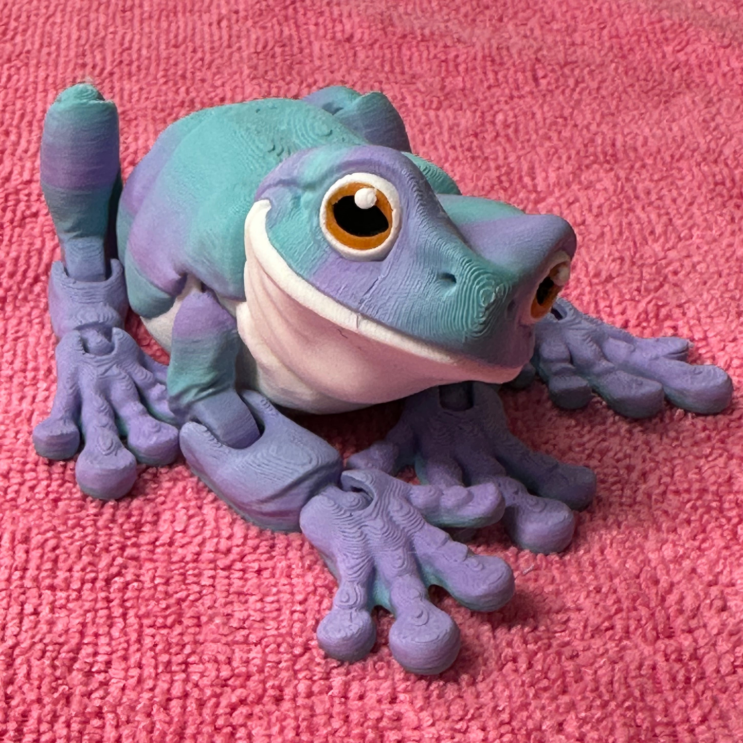Tree Frog