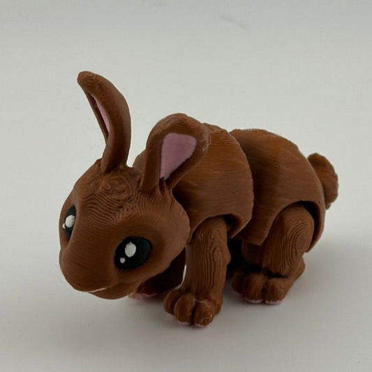 Brown Bunny Rabbit