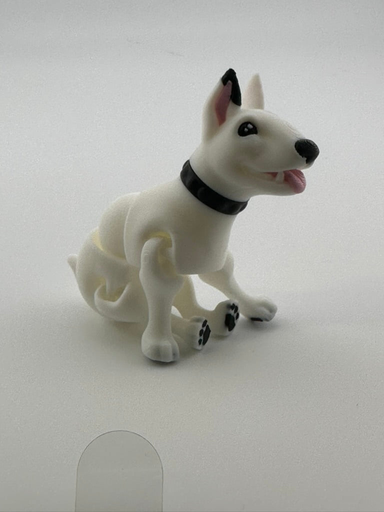 Bull Terrier Dog