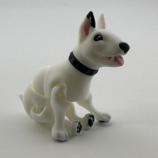 Bull Terrier Dog