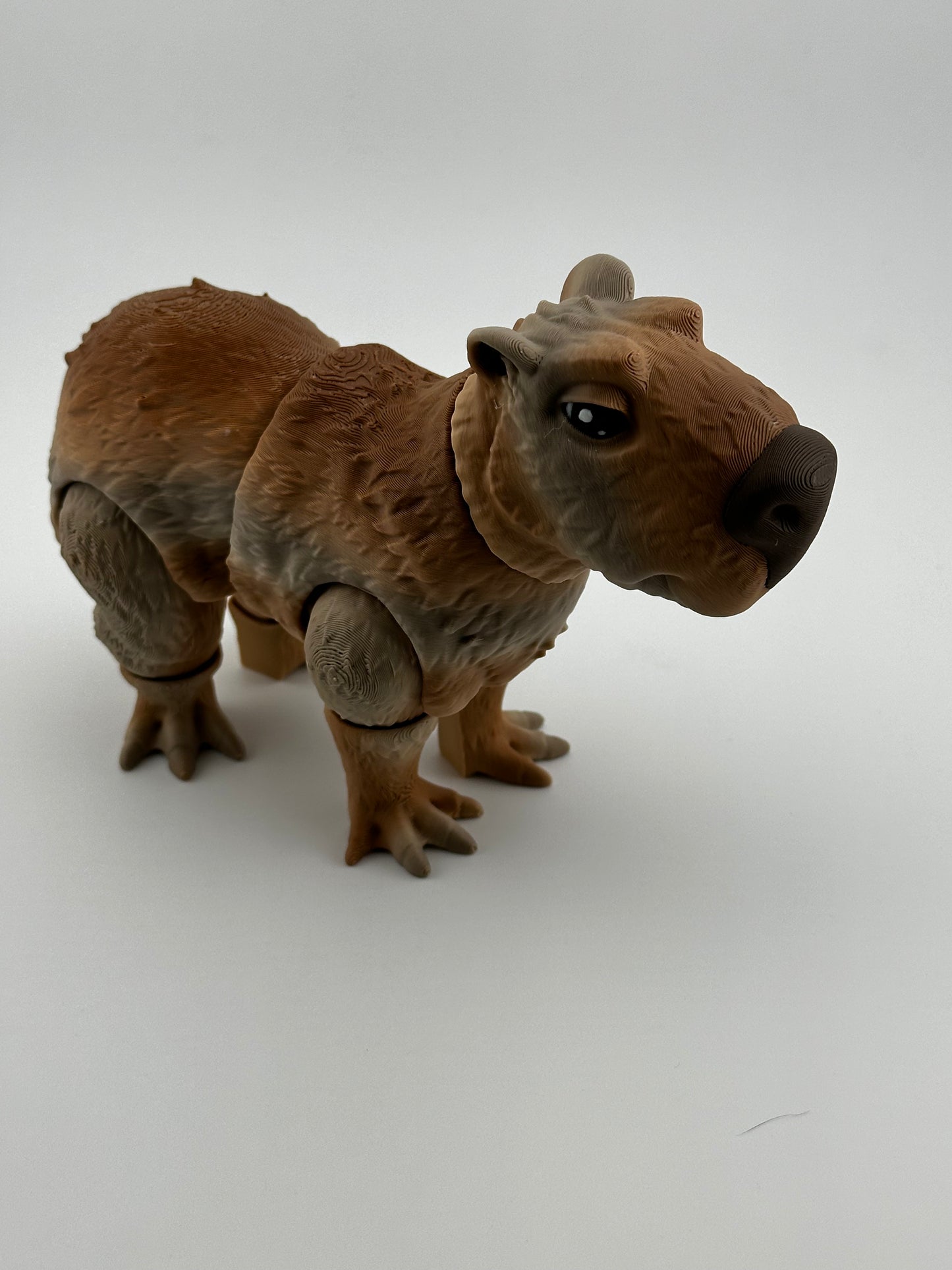 Capybara
