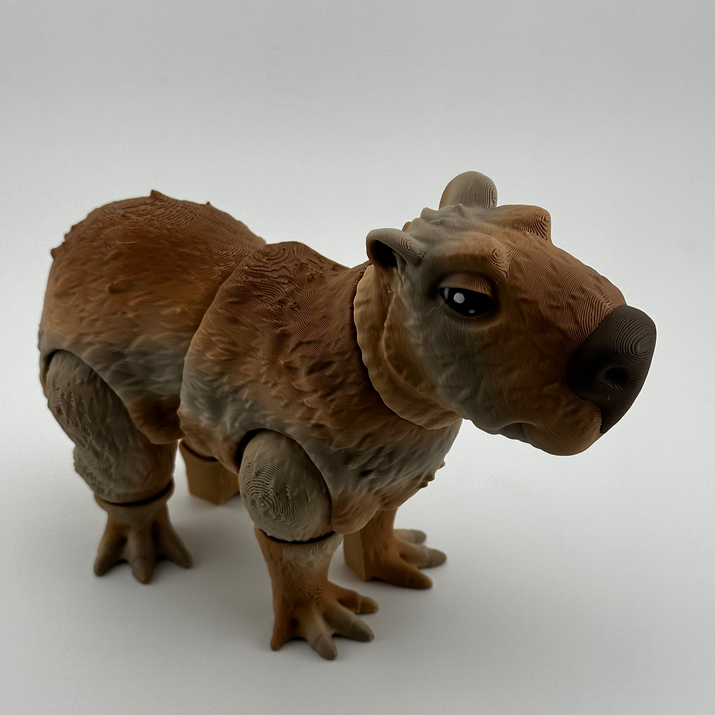 Capybara