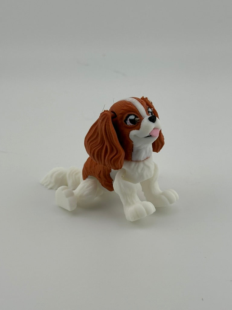 King Charles Spaniel
