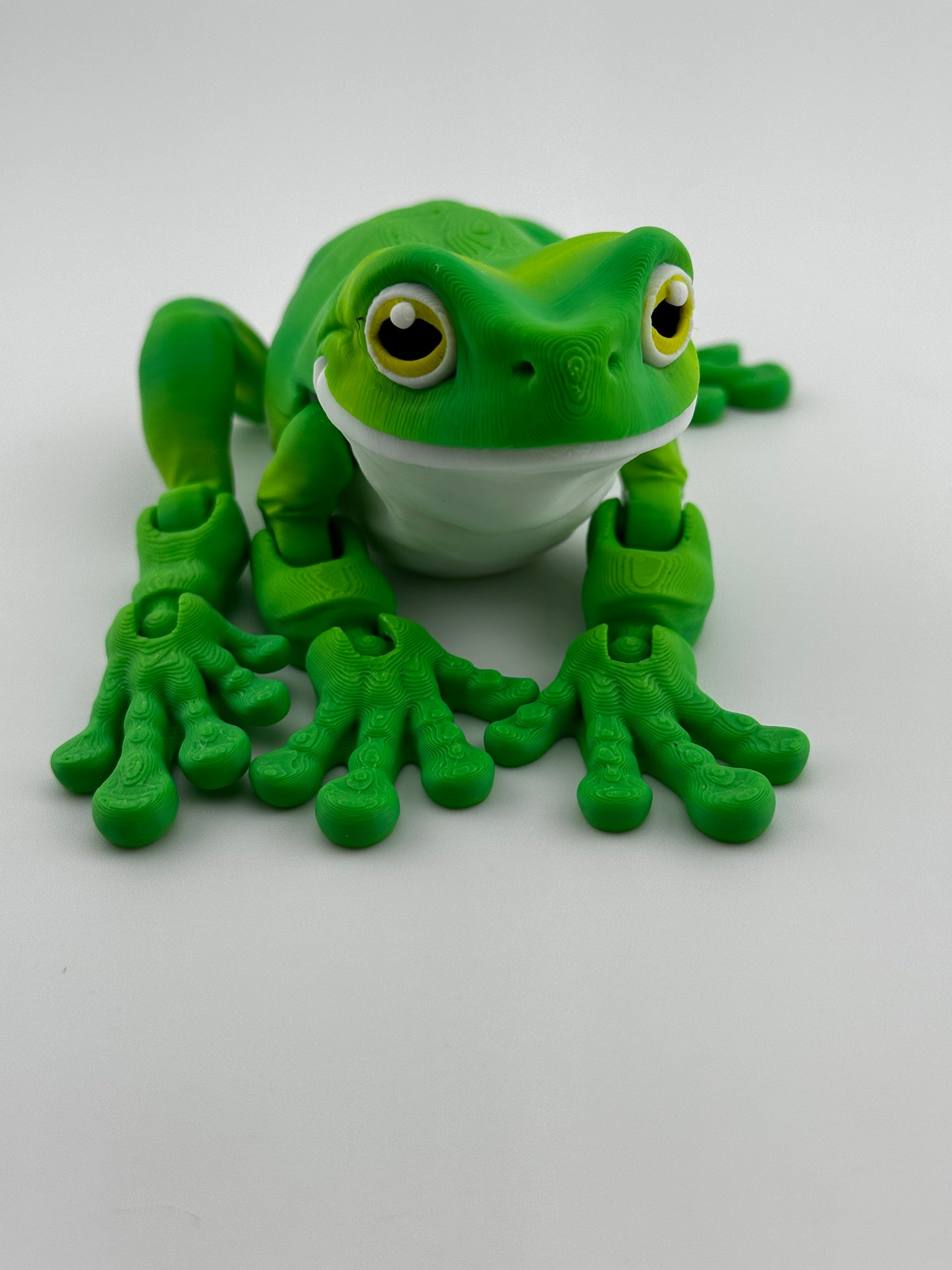 Tree Frog