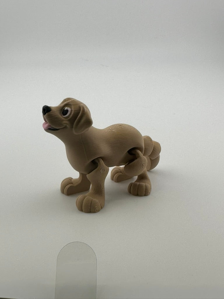 Yellow Lab Dog