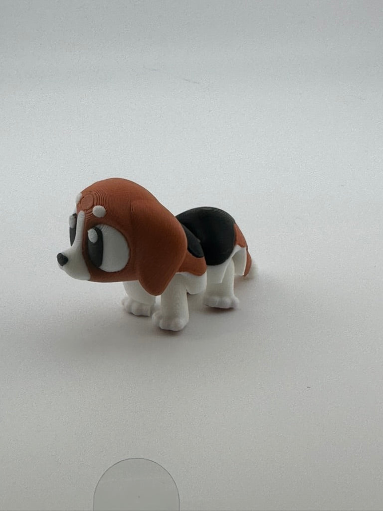 Beagle Dog