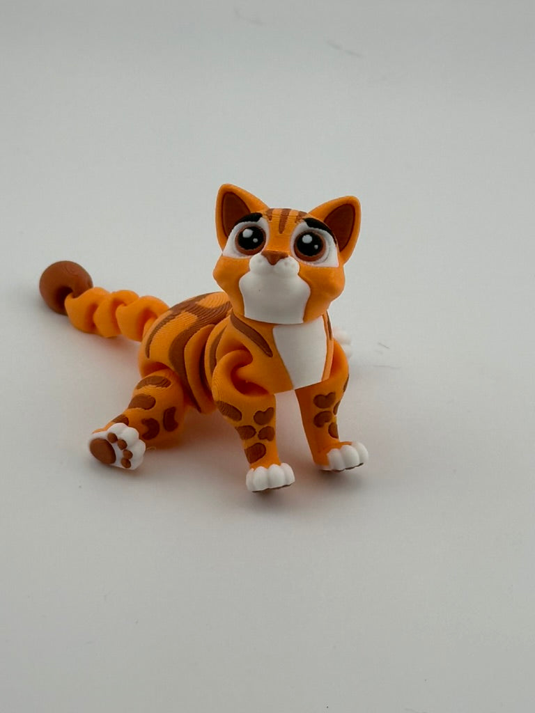 Orange Tabby Cat