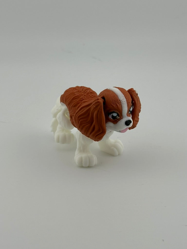 King Charles Spaniel