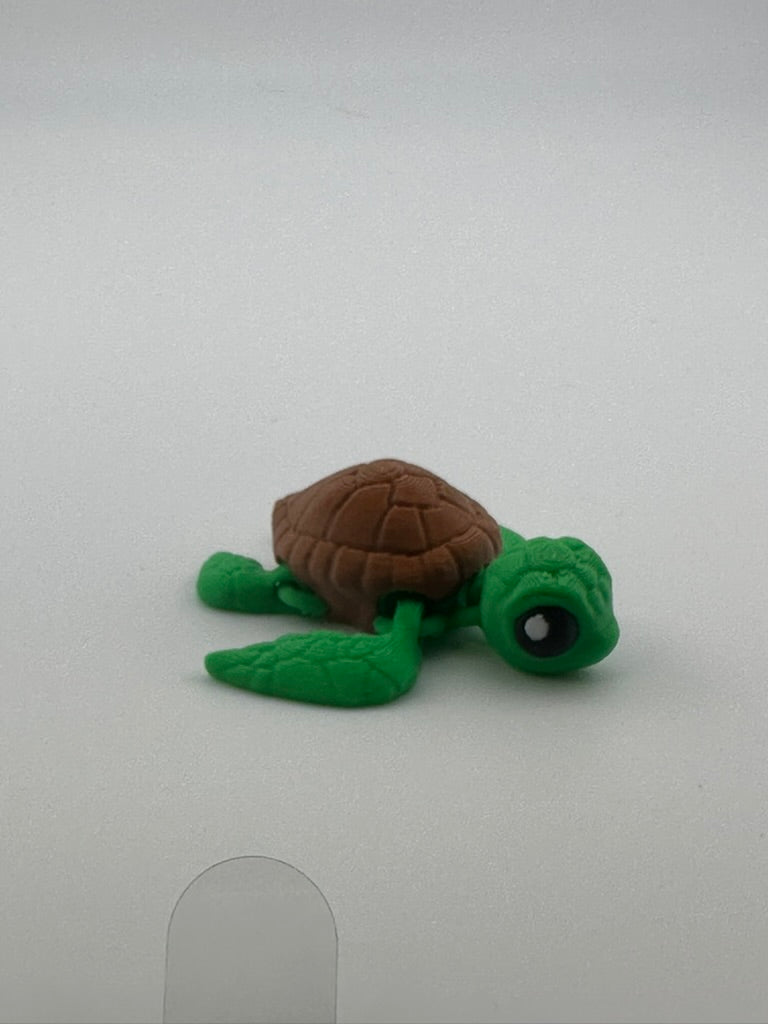 Sea Turtle