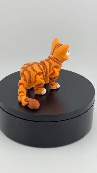 Orange Tabby Cat