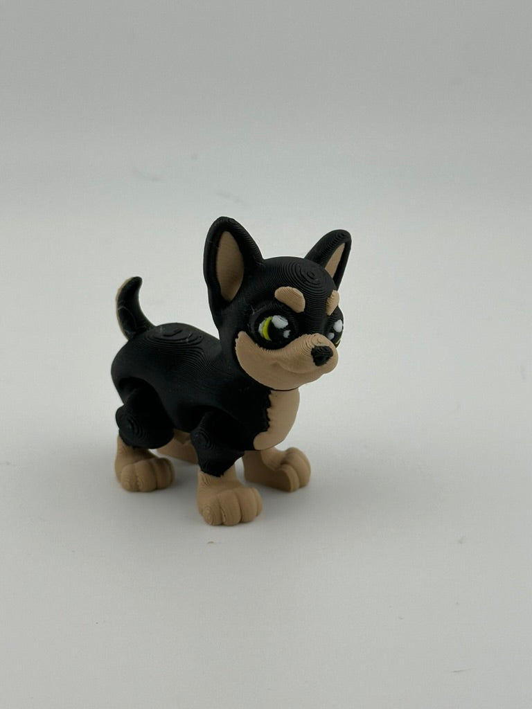 Chihuahua Dog