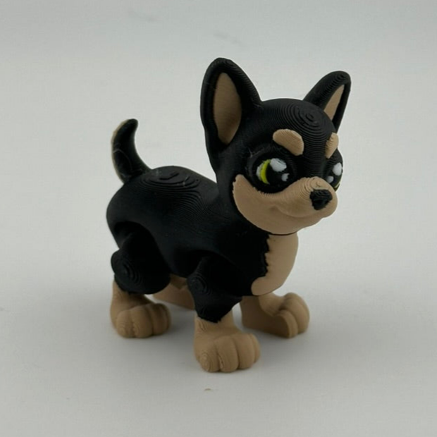 Chihuahua Dog