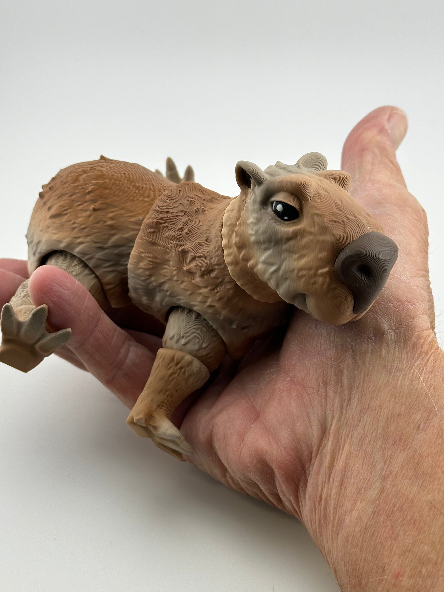 Capybara