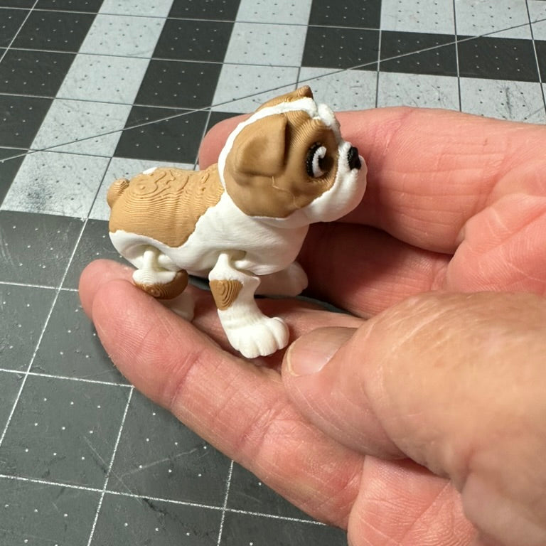Bulldog Dog