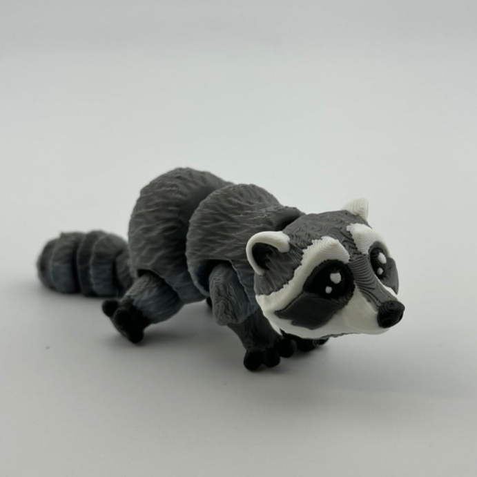 Raccoon