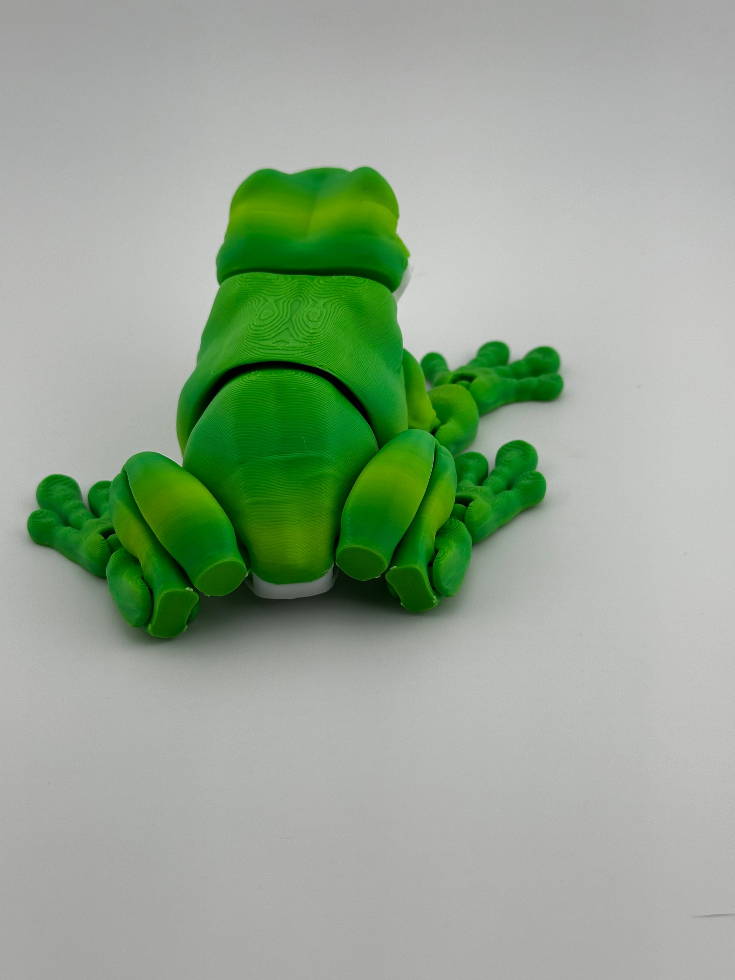 Tree Frog