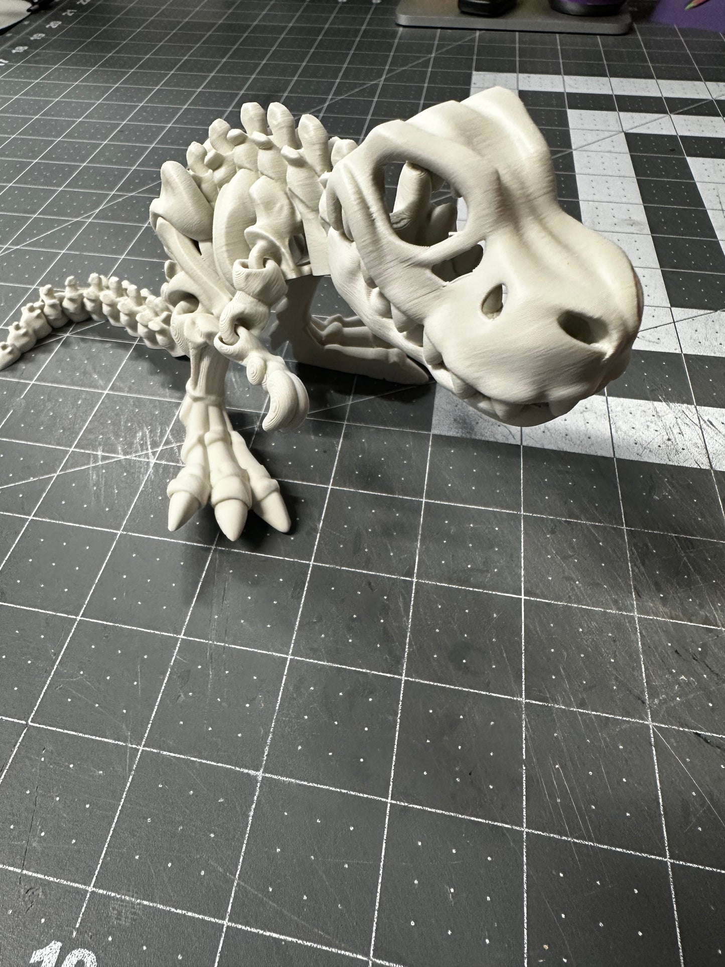 Flexi T-Rex Skeleton