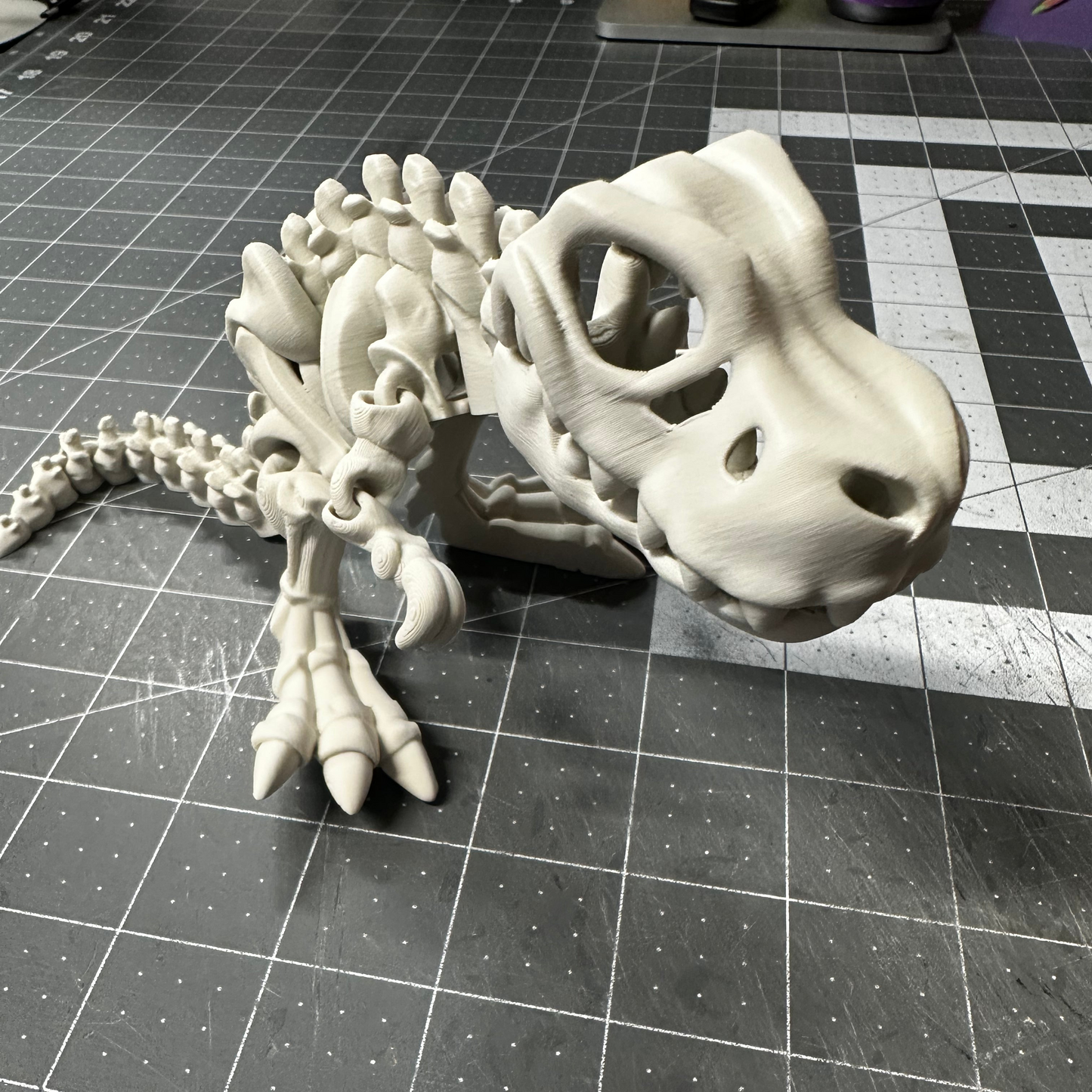 Flexi T-Rex Skeleton