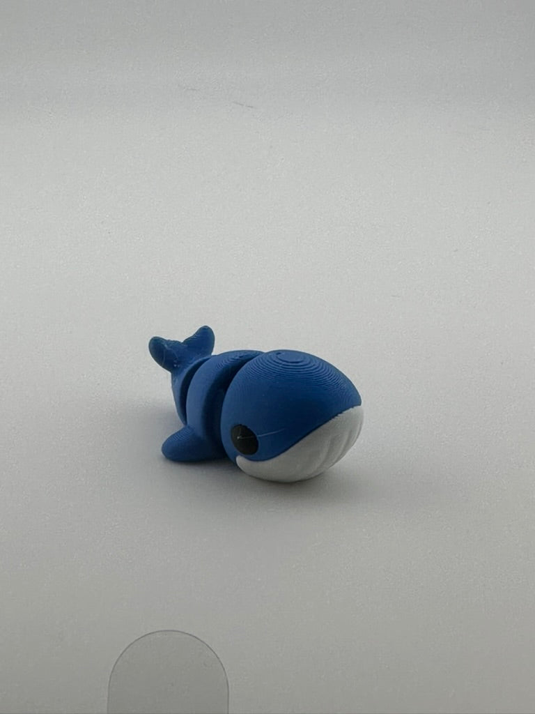 Mini Blue Whale