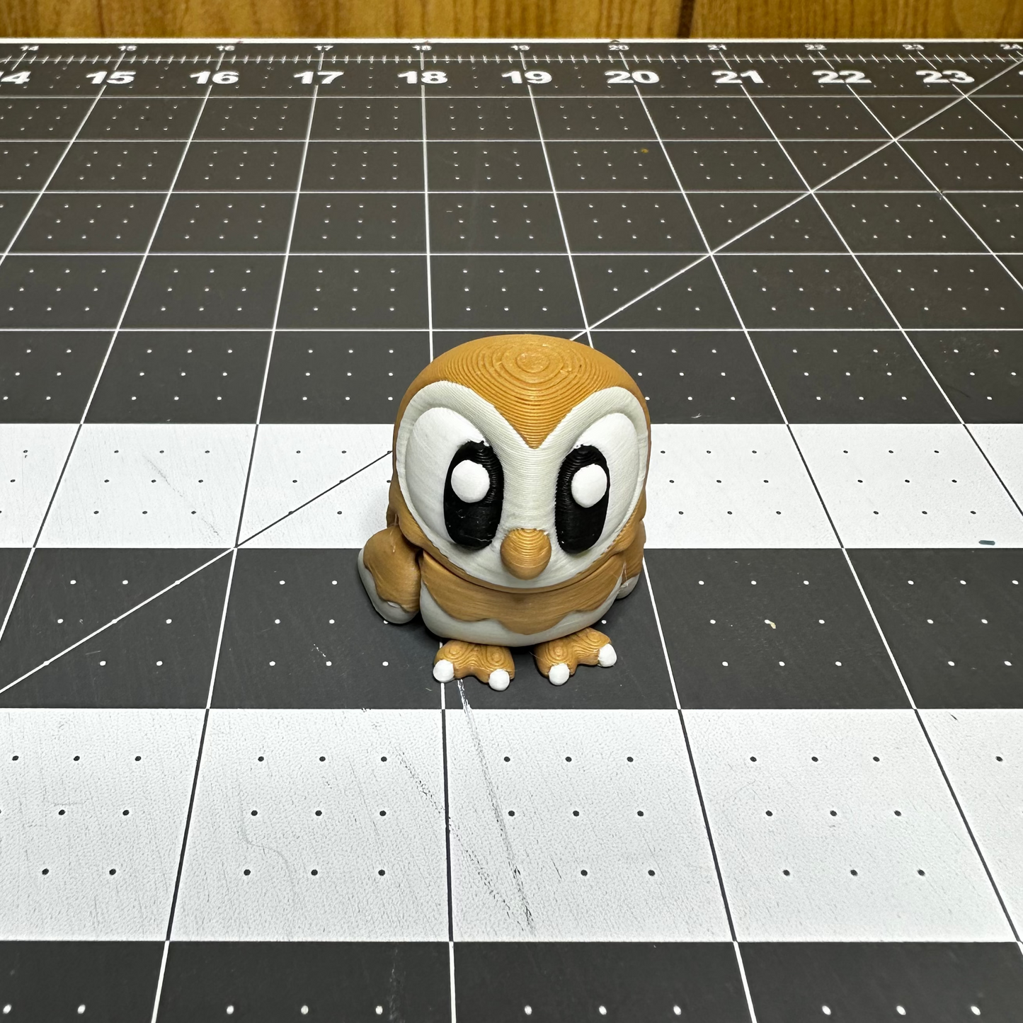Barn Owl