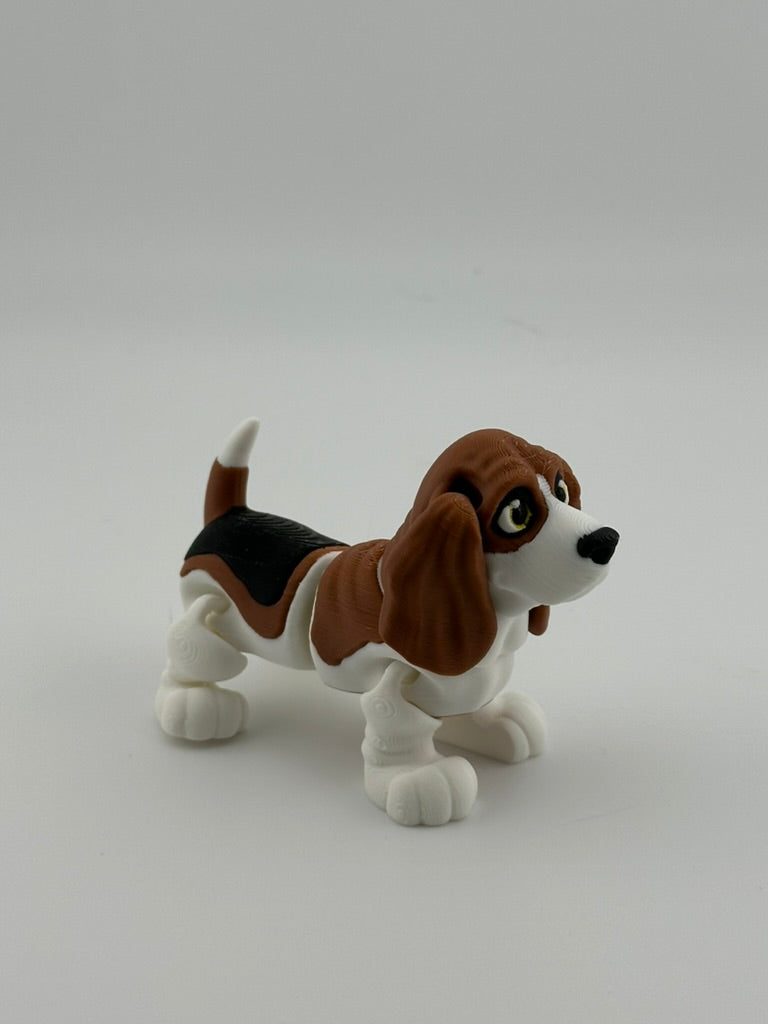 Bassett Hound Dog