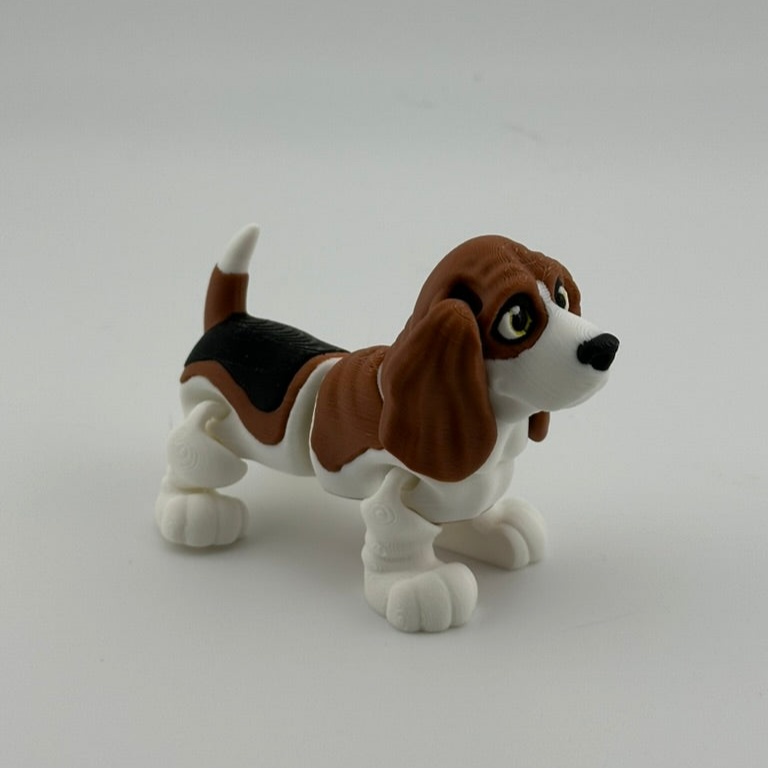 Bassett Hound Dog