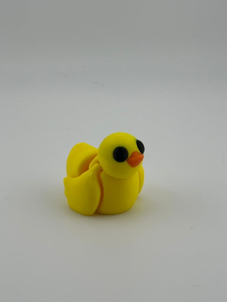 Duck