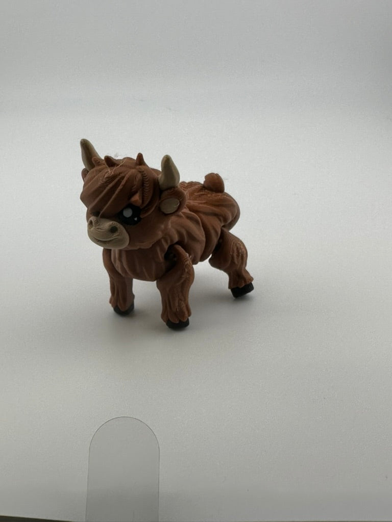 Highland Cow