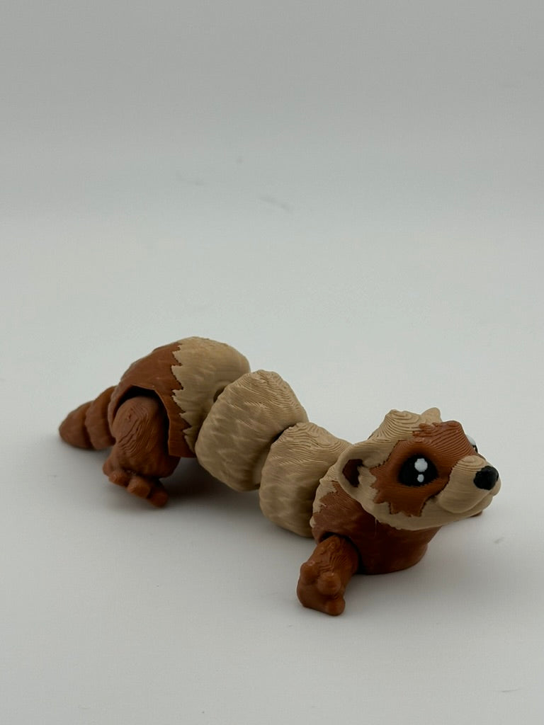 Ferret