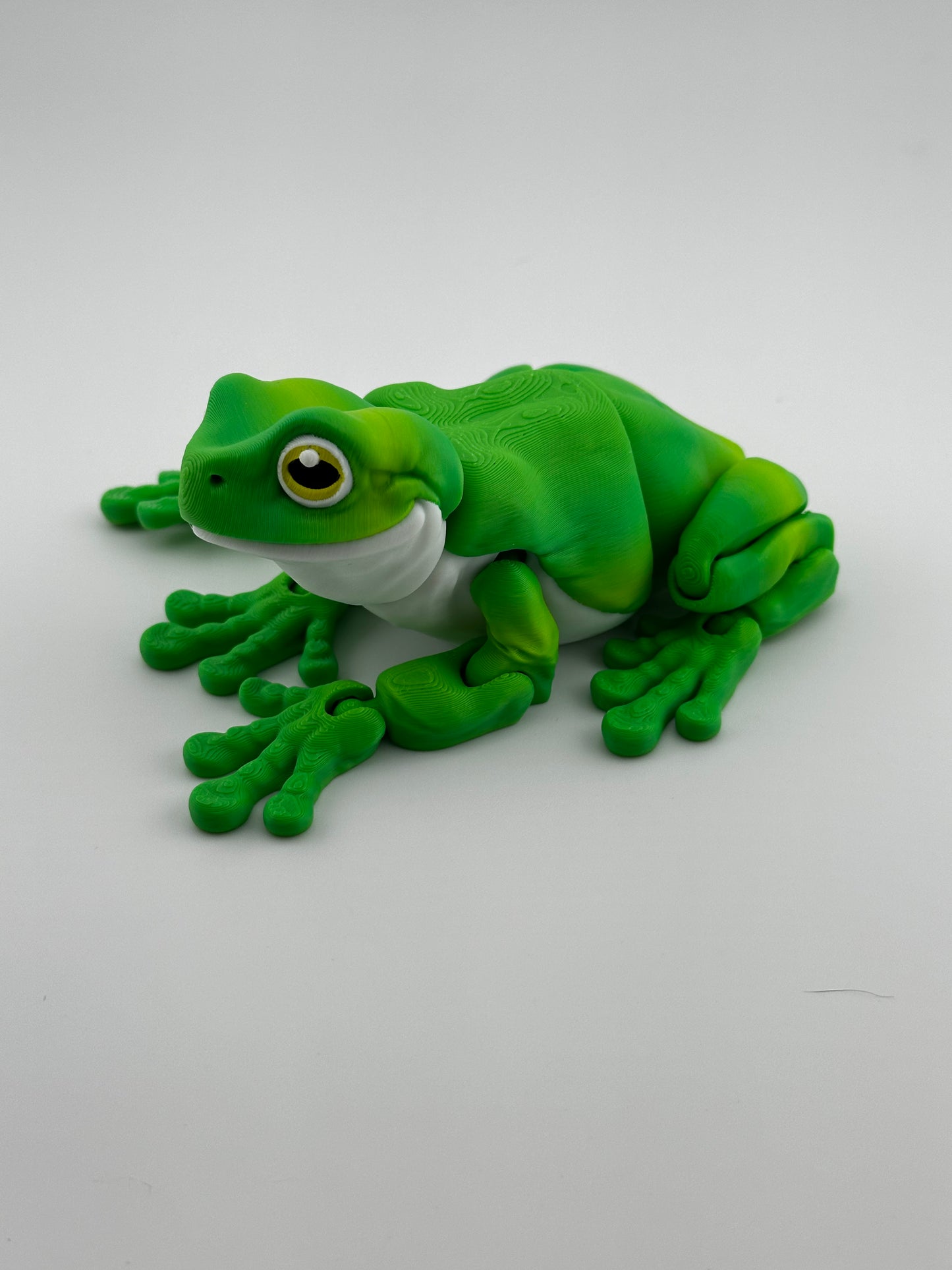 Tree Frog