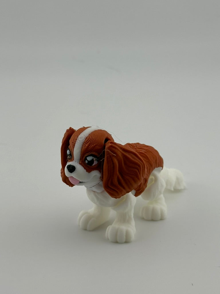 King Charles Spaniel
