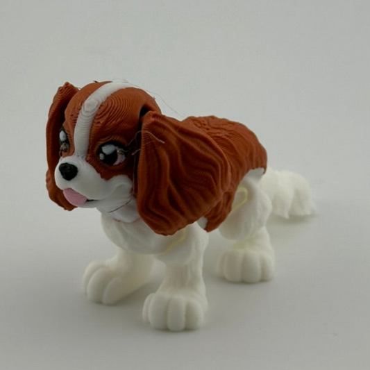 King Charles Spaniel