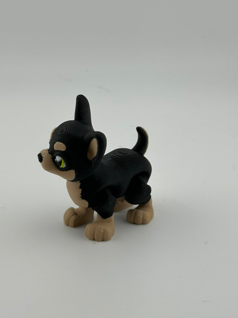 Chihuahua Dog