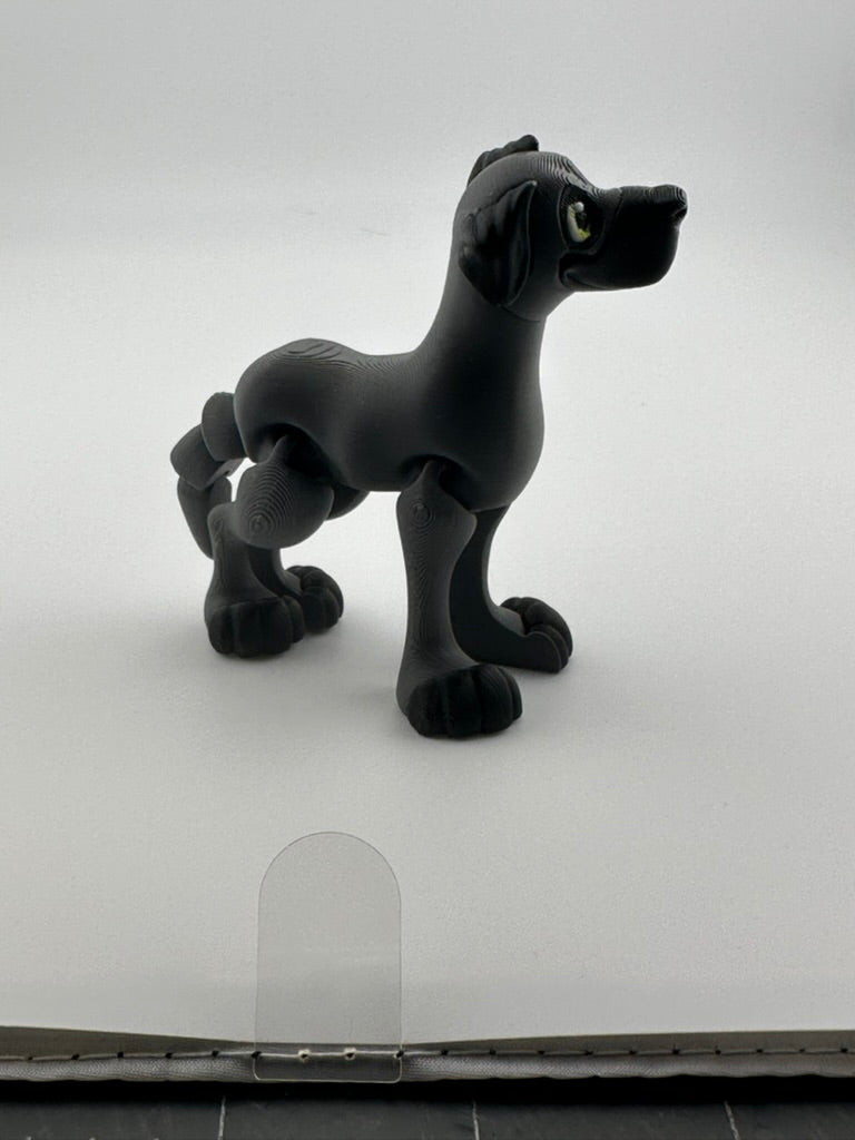 Great Dane Floppy ears
