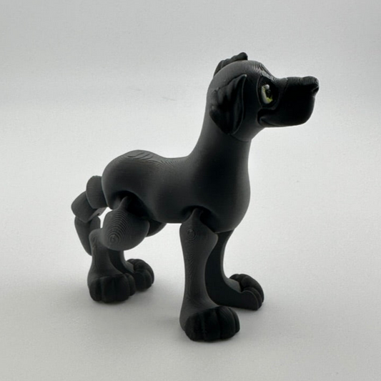 Great Dane Floppy ears