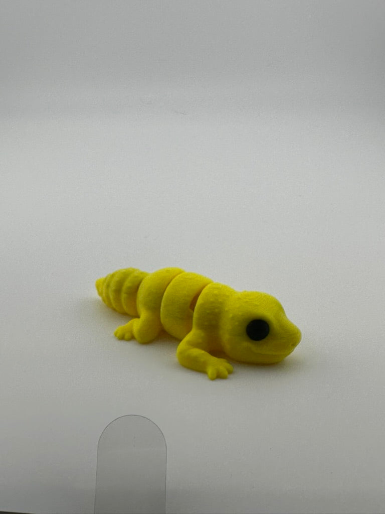 Leopard Gecko