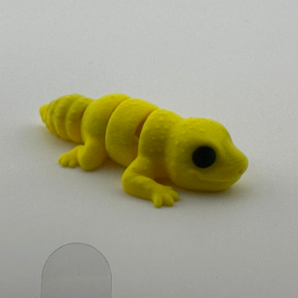 Leopard Gecko