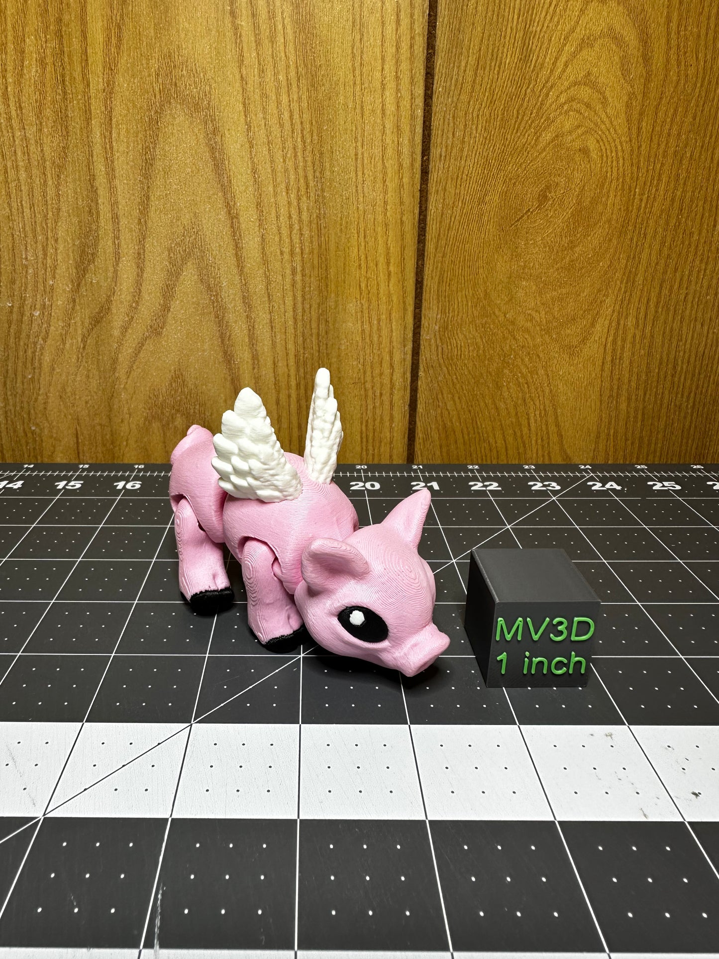 Flying Pig