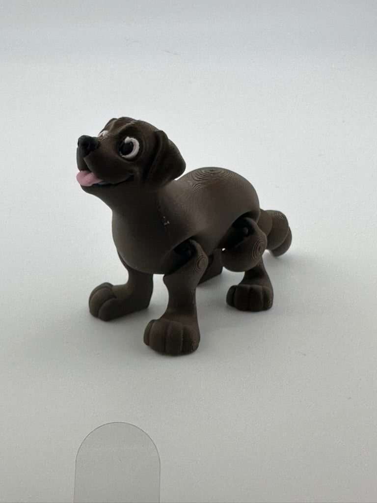 Chocolate Lab Dog