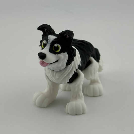 Border Collie