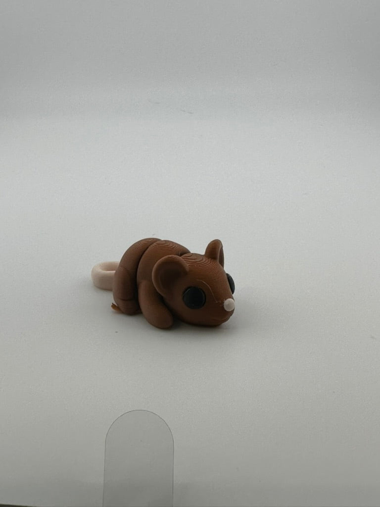 Baby Mouse